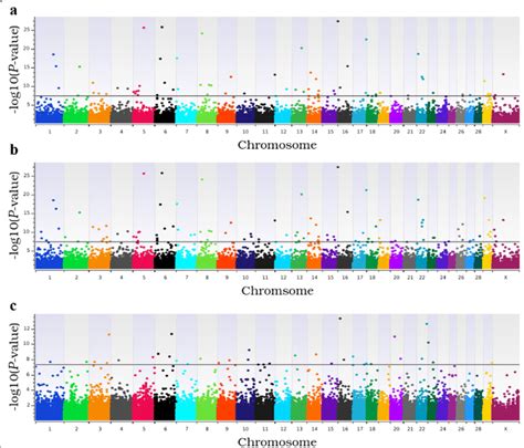 Manhattan Plots For Genome Wide Association Analyses For Number Of