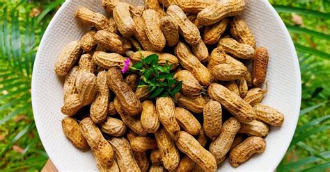 Resep Kacang Rebus 530730 Irit Gas Oleh Dapur Marinda Cookpad