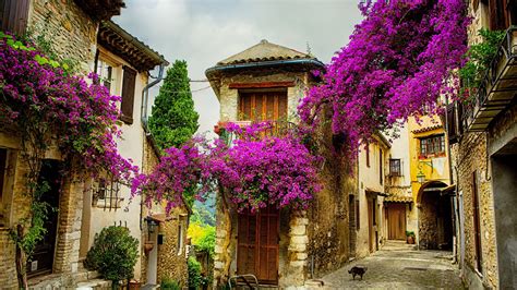 Provence Wallpapers - Top Free Provence Backgrounds - WallpaperAccess