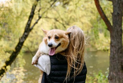 Mann überfällt Frauen und will Sex mit Hunden
