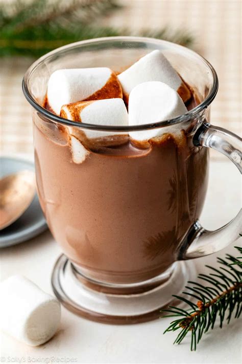 Hot Chocolate Marshmallow Mug Vegan Marshmallow Salted Caramel Hot