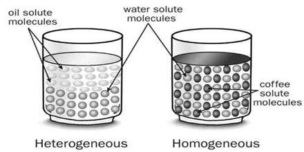 Homogeneous Mixture: Experiment - QS Study