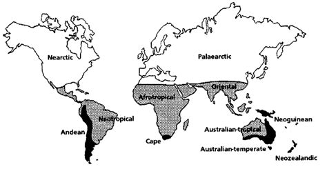 Regions And Subregions Of The World Holarctic Region Nearctic