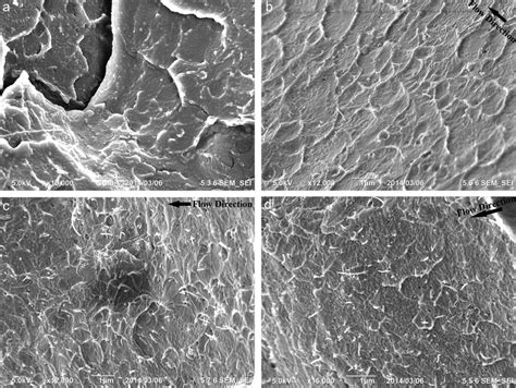 SEM images of the produced specimens. (a) pure PMMA (b) PMMA with 0.5 ...