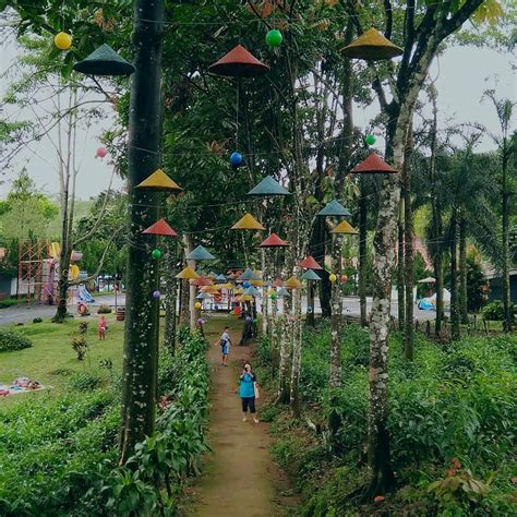 Tiket Masuk Kebun Teh Tambi Wonosobo Dan Info Penginapan