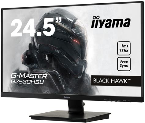 iiyama - G-MASTER G2530HSU-B1 Black Hawk – get in the game