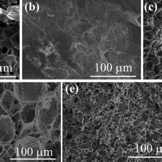 Sem Images Of A Paa Hydrogel B Paa Cmcs Hydrogel C Paa Ca