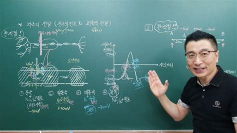 생명과학1 자극의 전달 20827 수능 과탐 생명과학 과학 Youtube