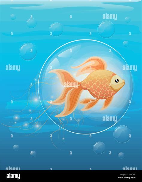 Ilustraci N Vectorial Aislado Sobre Fondo Goldfish Peces De Acuario