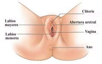 Miley Cyrus Allows Fans To Touch Her Vagina Tits During Performance UL Phun Org Forum