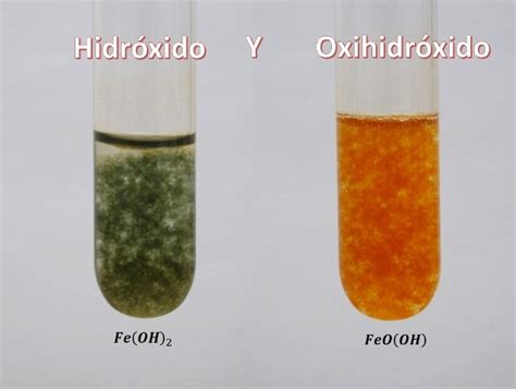 Hematoxylin And Eosin H E Staining Principle Procedure 52 OFF