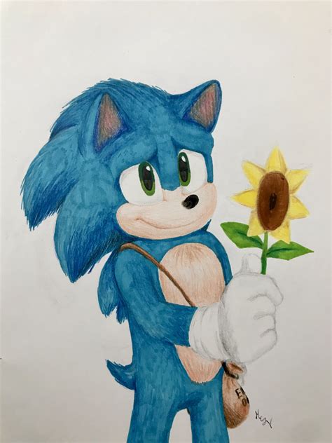 Sonic Gives A Flower Sonic Sonic Fan Art Hedgehog Movie