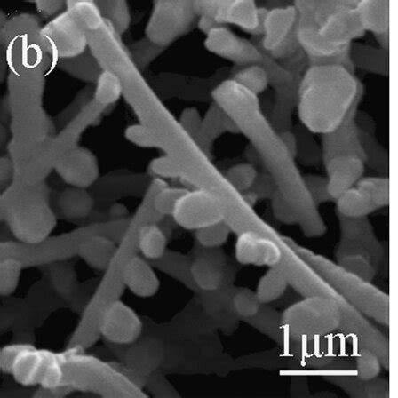 Sem Images Of Aln Branched Nanostructures Grown With Different