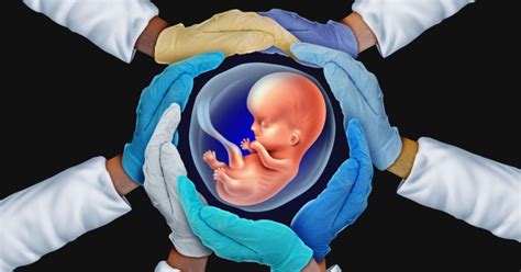 Synthetic Human Embryos Are Made In Scientific Breakthrough The