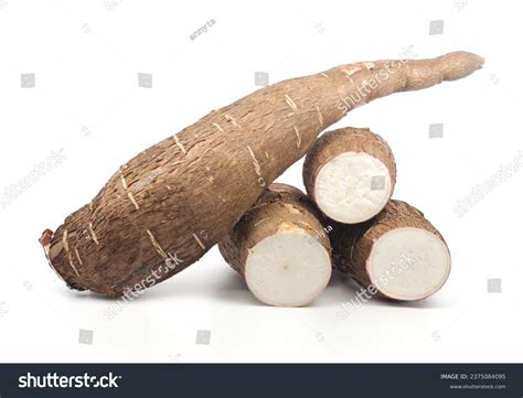 thousand cassava royalty  images stock  pictures