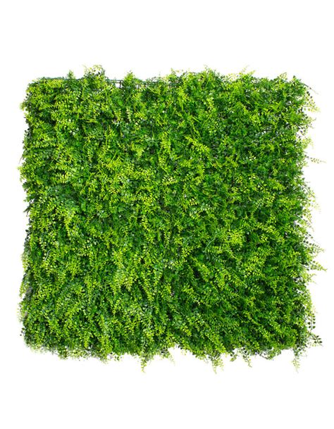 Фитомодули для вертикального озеленения - купить с доставкой в RePlants.ru