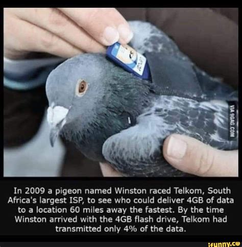 Reading Hentai To Masturbate Reading Hentai For The Art Reading Hentai For The Story Reading