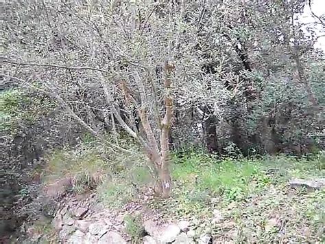 101 Free Porn Video 4b XHamster