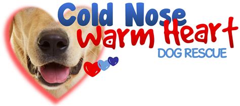 Pets for Adoption at Cold Nose Warm Heart Dog Rescue, in Succasunna, NJ