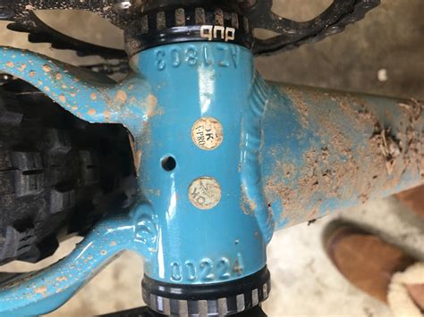 2019 Santa Cruz Chameleon