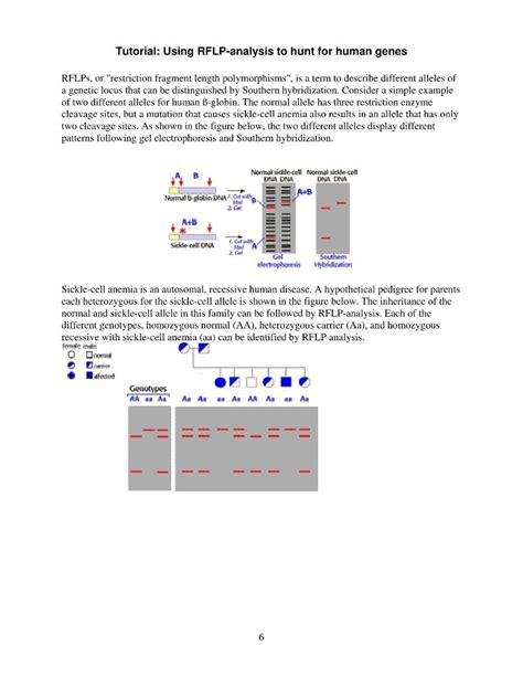 Solved Human Pedigree Genetics Problem Set Sex Linked Chegg