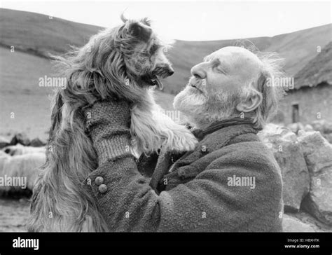 Greyfriars Bobby Alex Mackenzie 1961 Stock Photo Alamy