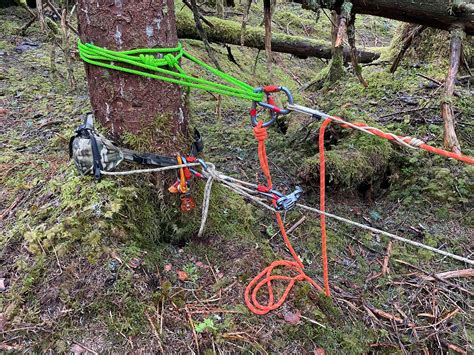 wild animal rescue alaska