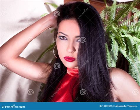 Photo session Du Jeune Beau Brunette Image stock Image of émotion cheveu 13472555