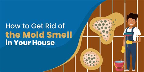 How To Get Ride Of Mold Smell From Your House Easy Fix