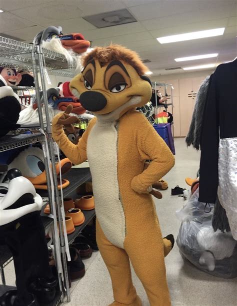 Pin By ♥ᑒ Hukka On Animal Costumes Backstage Disney Disney World