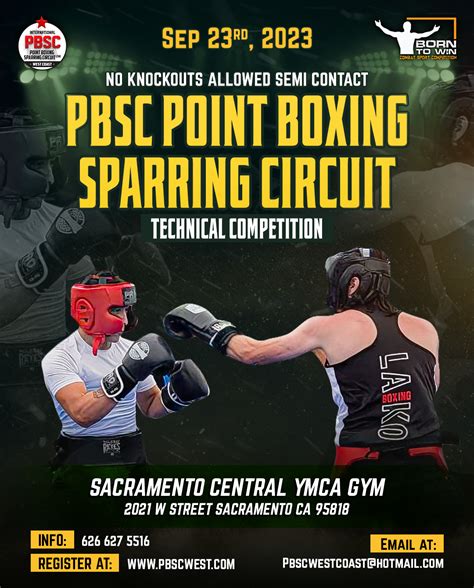 Point Boxing Sparring Circuit