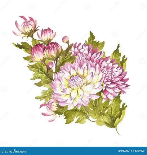 chrysanthemum how to draw 6