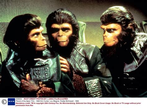 Zira (Kim Hunter), Dr. Milo (Sal Mineo), & Cornelius (Roddy McDowall ...