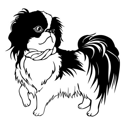 1,669 Cute Cartoon Shih Tzu Images, Stock Photos, 3D objects #3965337