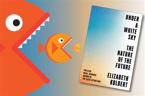 On the Shelf – Engineering Education ASEE Prism