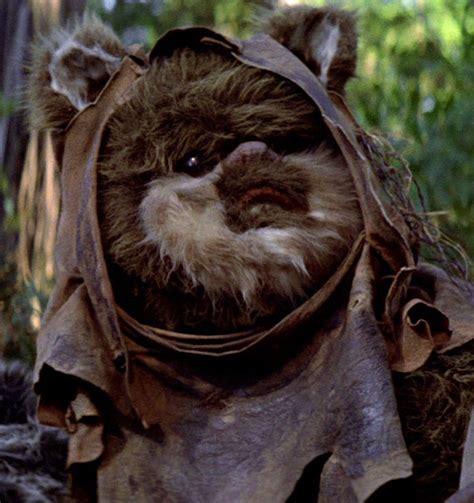 Userozzelewoks Wookieepedia The Star Wars Wiki Star Wars Species