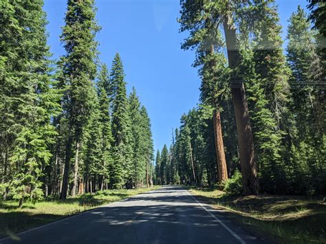 United States - Tiny Footsteps Travel