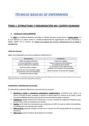 Técnicas Básicas de Enfermería 1 Higiene y aseo del enfermo Grado