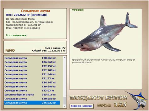 Сельдевая акула