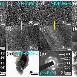 Sem Images A L Showing Typical Microstructures Of The Np Pd Np Pdni