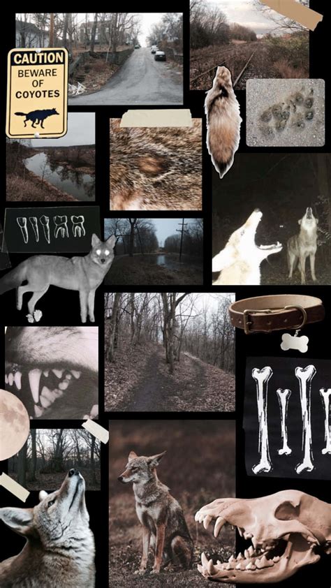 Therian By Monorus Hentai Foundry My XXX Hot Girl