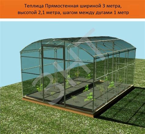Теплица Прямостенная (шириной 3 метра, длиной 6 метров, высотой 2,1 ...
