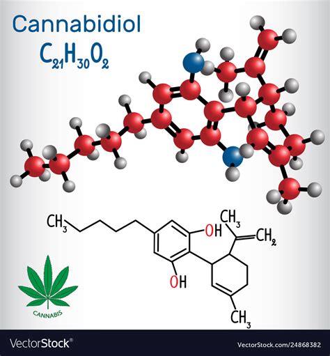 Cannabidiol Cbd Structural Chemical Formula Vector Image