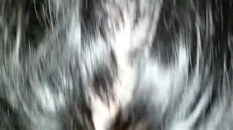 Late Night Suck And Fuck Free Porn Videos Youporn