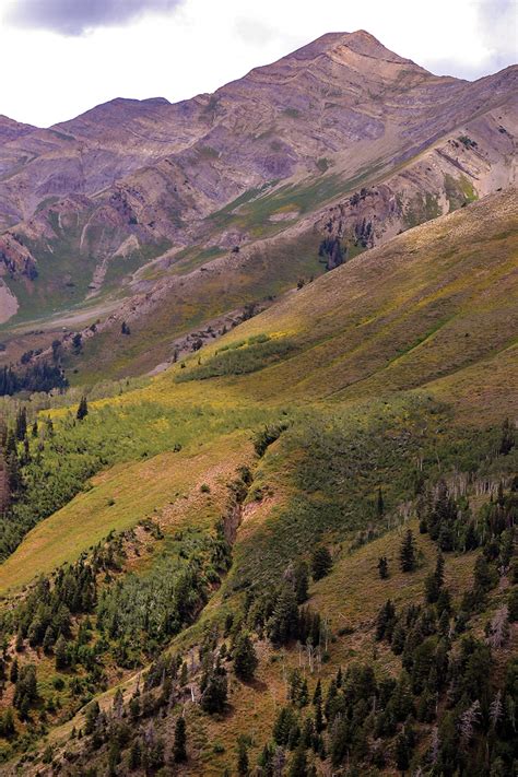 Favorite Ride Nebo Loop Scenic Byway Rider Magazine