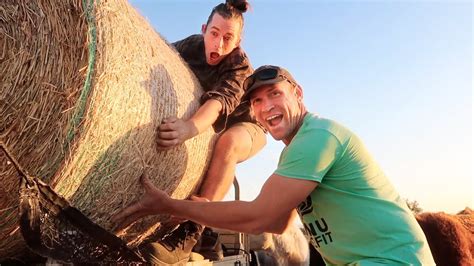 A GAY FARMERS AFTERNOON VLOG CARING FOR COWS YouTube