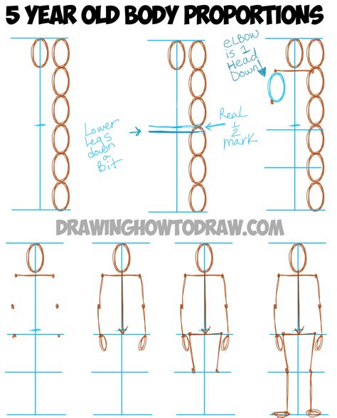 body proportions drawing 7