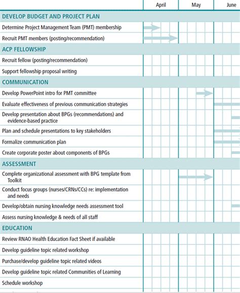 Best Practice Guideline Implementation: Project Plan | Registered Nurses' Association of Ontario