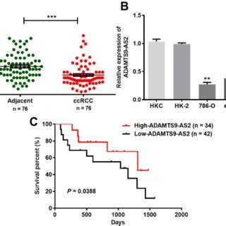 Adamts As Expression Is Clearly Downregulated In Ccrcc Tissues And