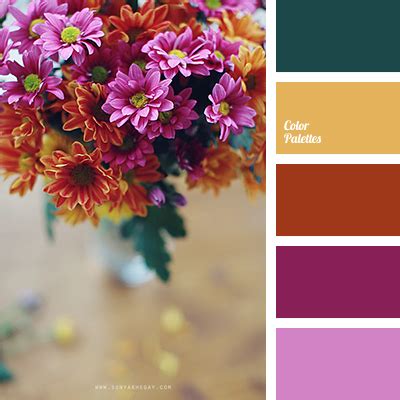 colour of fuchsia | Color Palette Ideas